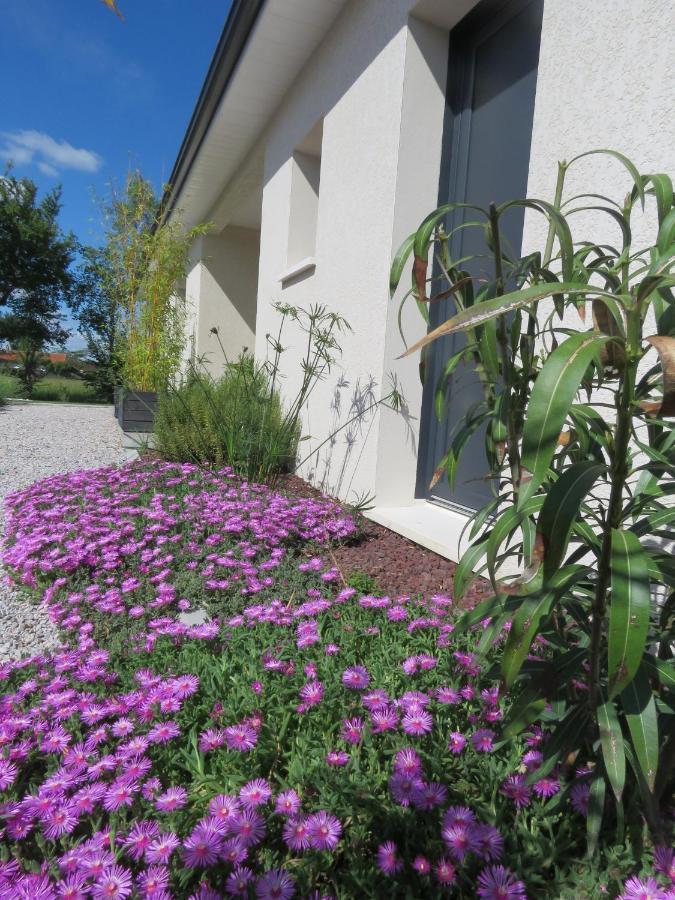 Les Jardins D'Oc - Wifi, Terrasse Et Jardinet - Appart T2 Neuf Soual Exterior foto