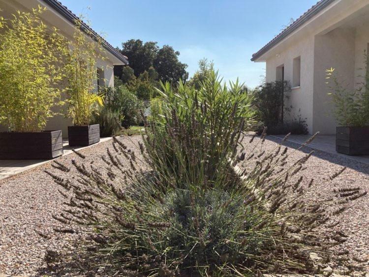 Les Jardins D'Oc - Wifi, Terrasse Et Jardinet - Appart T2 Neuf Soual Exterior foto